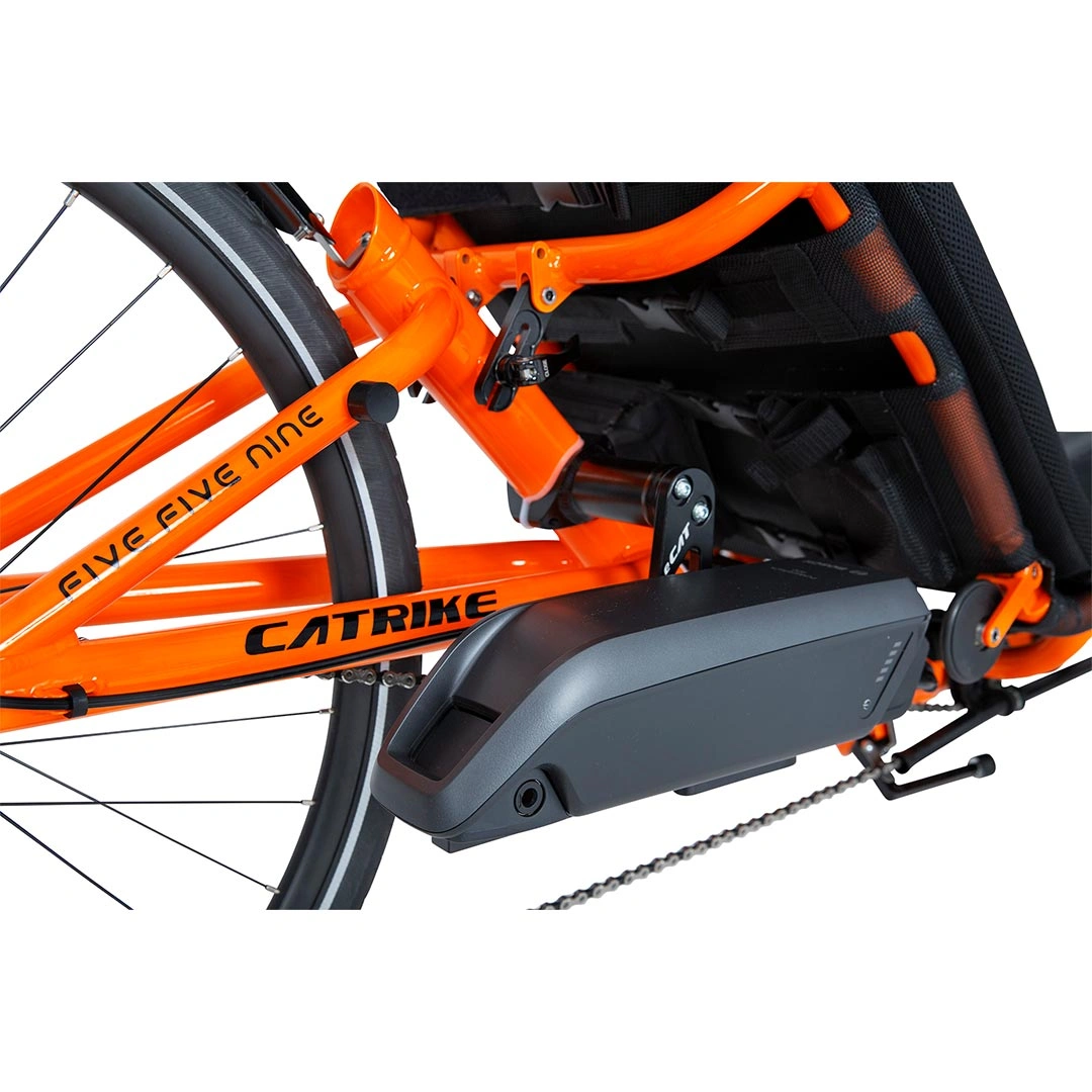 eCAT: Conquer Roads, Embrace the Future. Catrike's Electric Trike Revolution!